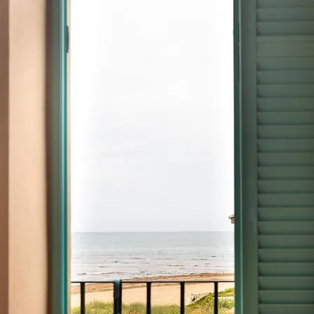 Noguera Mar Denia